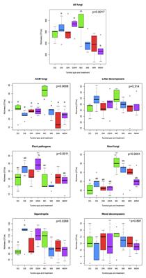 Tundra Type Drives Distinct Trajectories of Functional and Taxonomic Composition of Arctic Fungal Communities in Response to Climate Change – Results From Long-Term Experimental Summer Warming and Increased Snow Depth